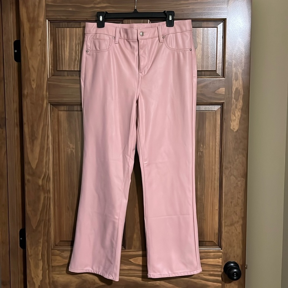 American Eagle vegan leather pants. Size 12 long. NWT.